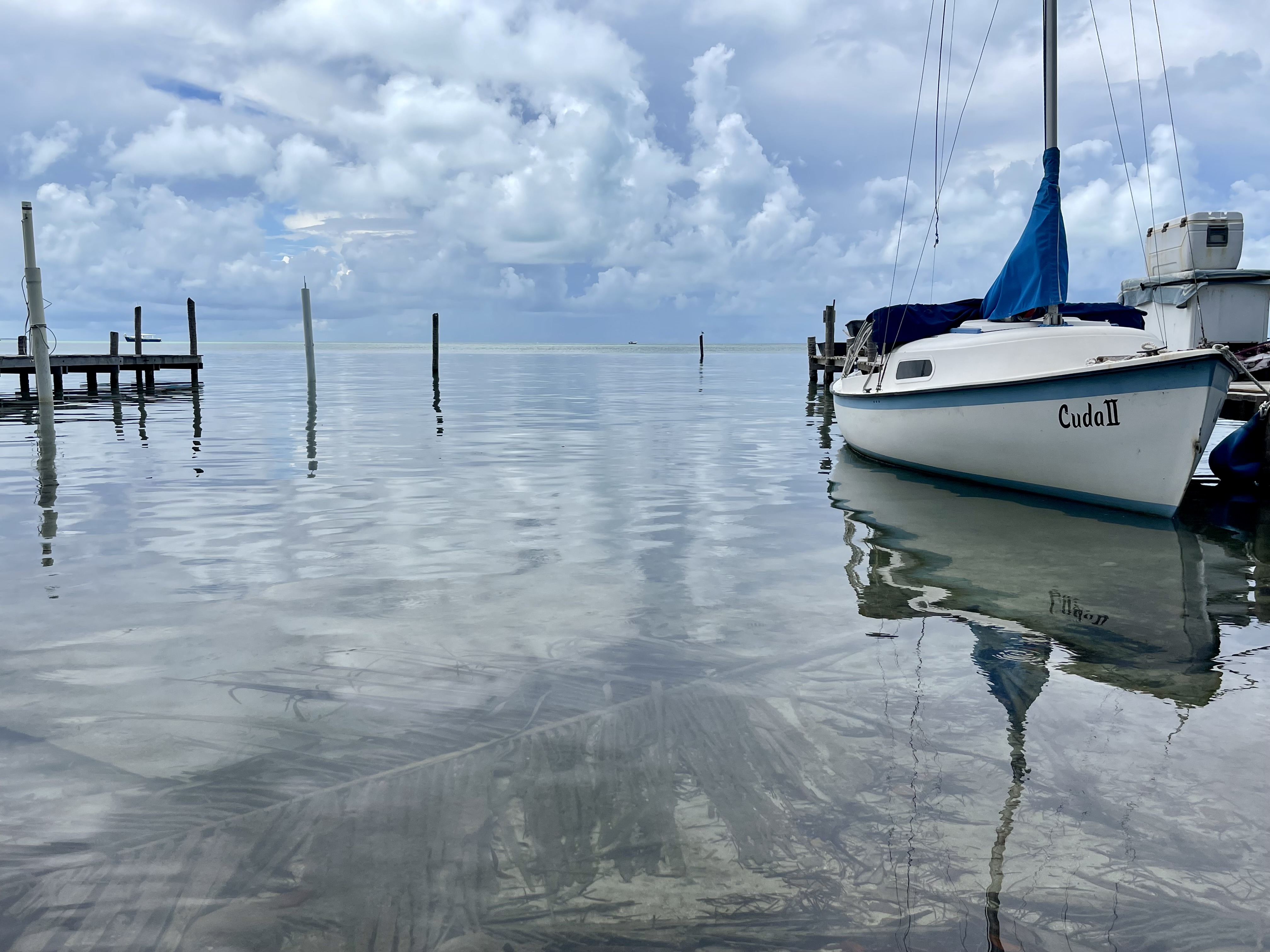 マリーナに停泊する帆船