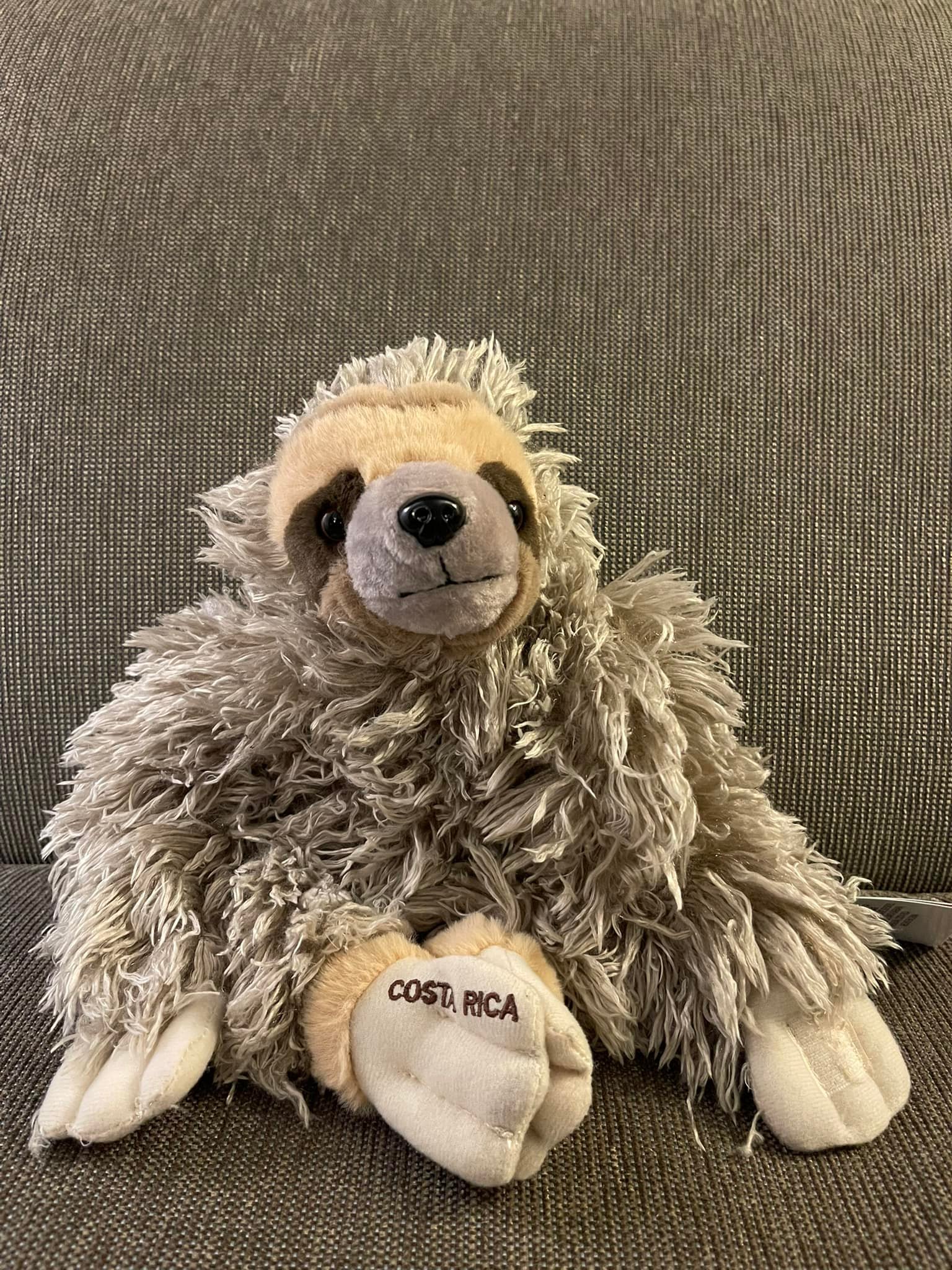 コスタリカのナマケモノのぬいぐるみ