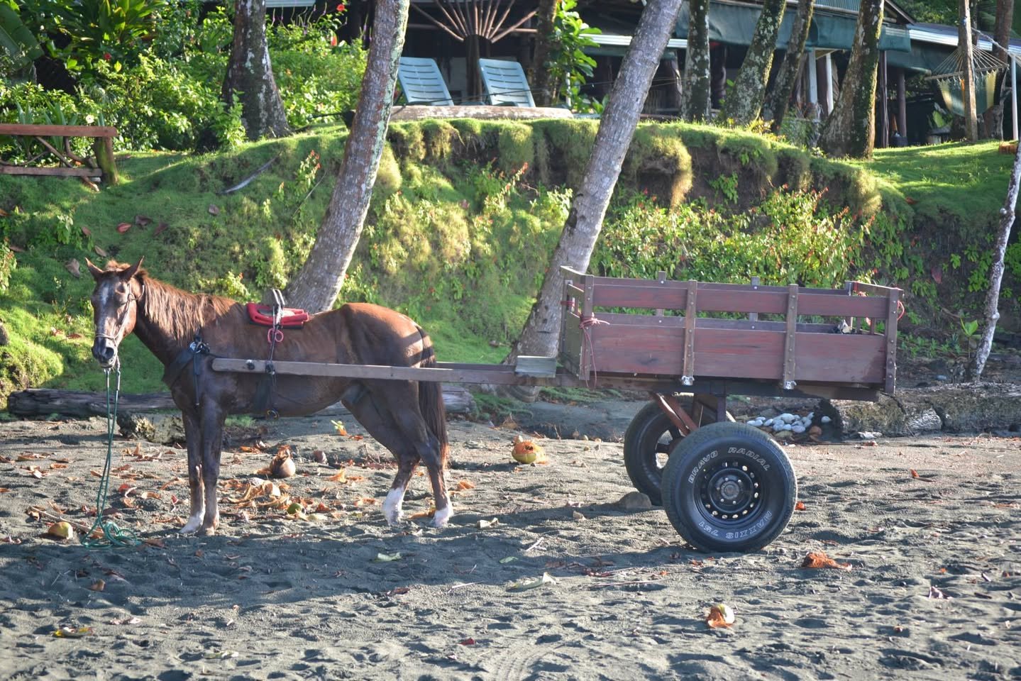 荷を引く馬と荷車