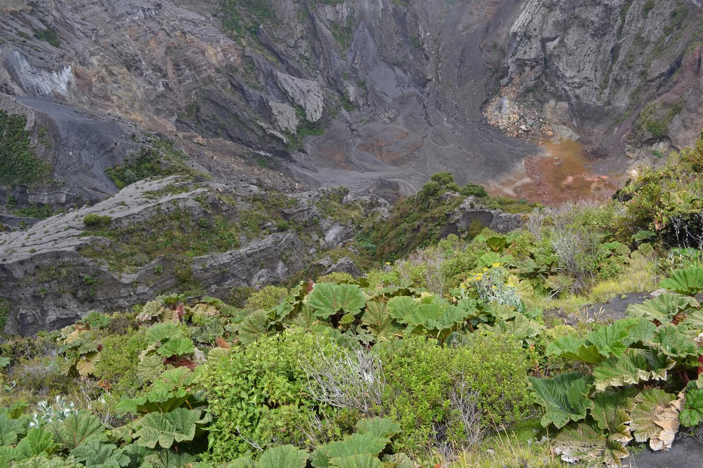 噴火口を見下ろす