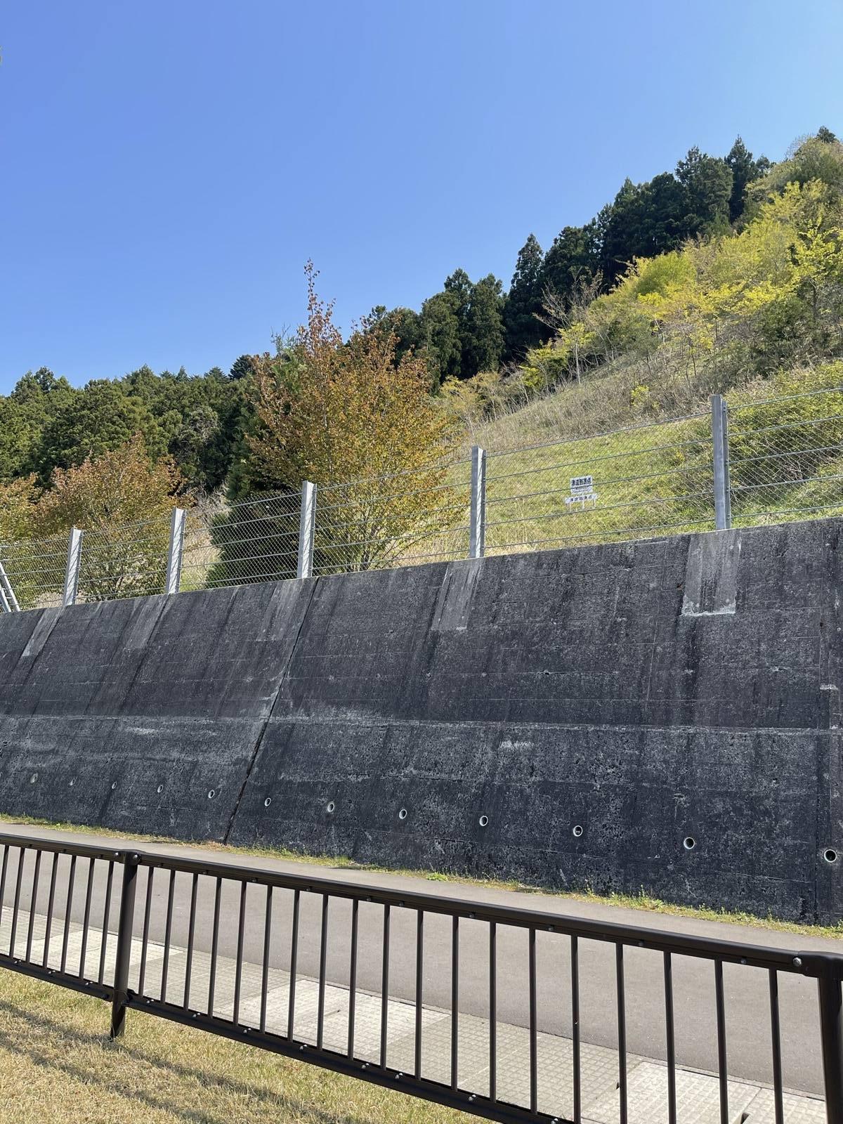 大川小学校の校舎裏手の山の斜面